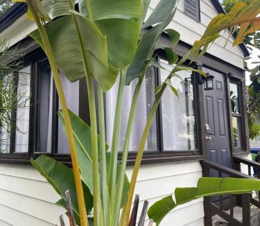 Buena Vista House | The eden house
