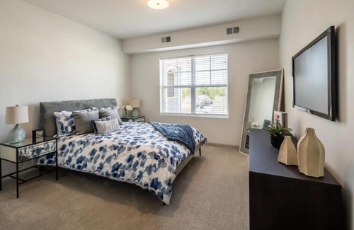 Equestria Apartment | The Grove