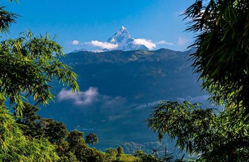 Pokhara Cabin | The Hidden Camp