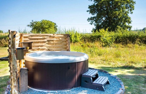 Whitestone Apartment | The Hideaway Hut - 1 Bed Shepherds Hut - Dodmarsh