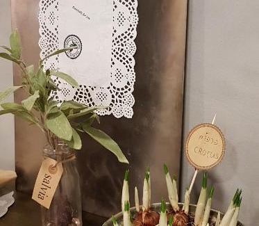 Netaim Hotel | The House of Taly & Erez