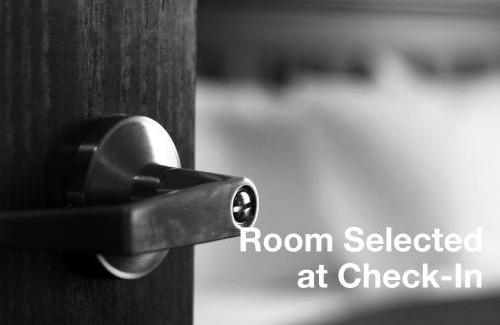 Downtown St. Petersburg Hotel | The Inn On Third