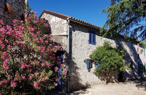 Vrsar House | The Istrian