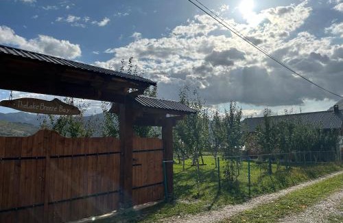 Plav House | The Lake Breeze Bay