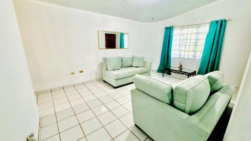 Jayuya House | The Little Blue House