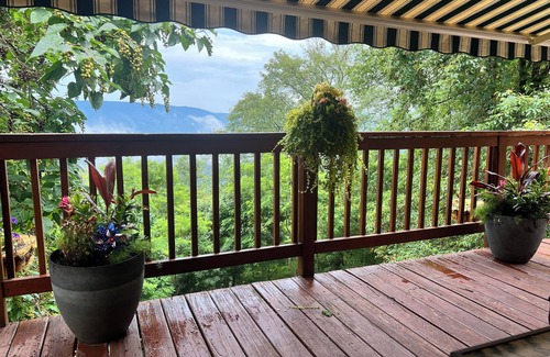 Old Fields House | The Mountain House on High Knob - Dog Friendly!