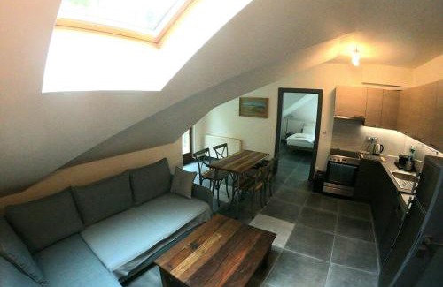 Jachymov Apartment | The Mountain Loft Klinovec - with infrasauna