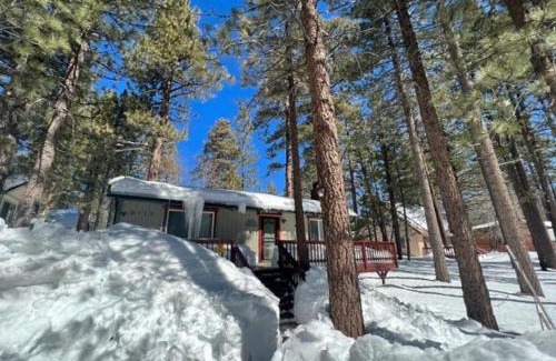 The Village Ski Chalet | The Oasis Chalet - Walking distance to The Village, The Lake, and Alpine Slide!