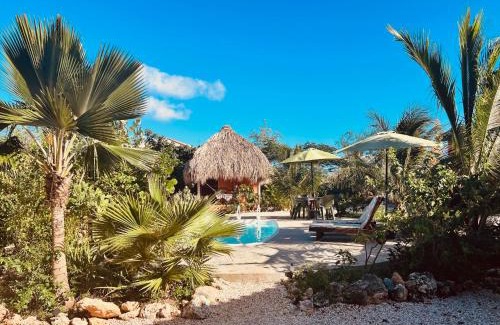 Boka Sami Bed & Breakfast | The Octopus Tropical Oasis