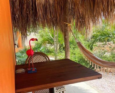Boka Sami Bed & Breakfast | The Octopus Tropical Oasis