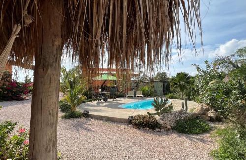 Boka Sami Bed & Breakfast | The Octopus Tropical Oasis