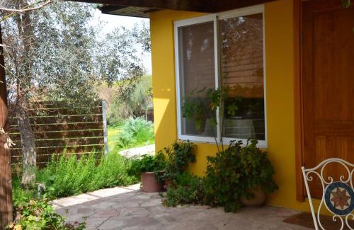 Tsafririm Cabin | The OLive Tree