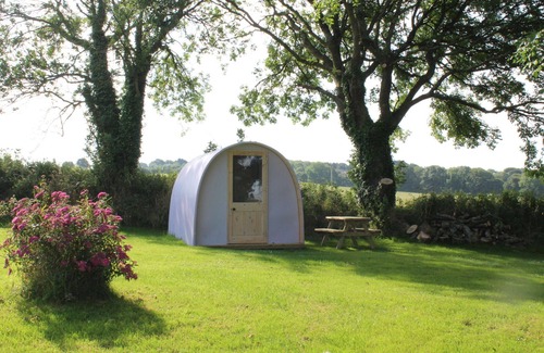 Newquay Cabin | The Pod Garden- Cozy glamping pod, rural location