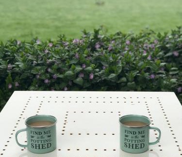 Torrington Apartment | The Potting Shed