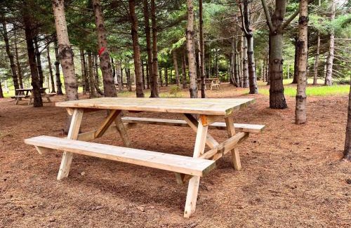 Brackley Beach Other | The Red Fox Campground