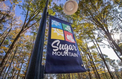 Sugar Mountain Apartment | The Sugar Suite - Renovated with a View! Ski IN-OUT! Heated POOL, Hot tub, sauna, gym, AC, EV