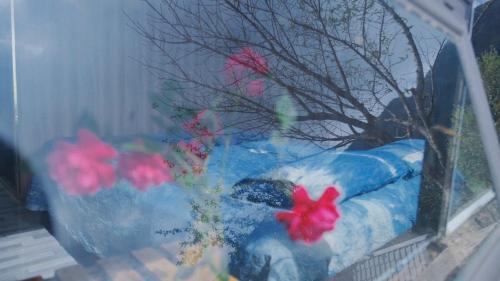 Bac Yen Villa | ThongDong homestay- Venuestay