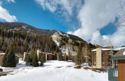 Vail Apartment | Timber Falls 3/2 condo in E Vail 4480 Timber Falls Ct, #1504, Vail, CO 81657