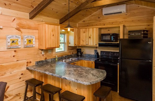 Mill Spring Cabin | TINY CABIN IN TRYON NC - 3 MILES TO TIEC- PET FRIENDLY