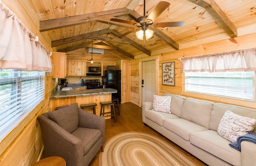 Mill Spring Cabin | TINY CABIN IN TRYON NC - 3 MILES TO TIEC- PET FRIENDLY