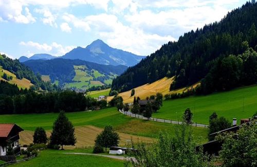 Oberau Apartment | Tirolee Marchegg 1 OG Top 3