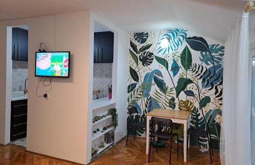 Stari Banovci Apartment | Tiski Cvet