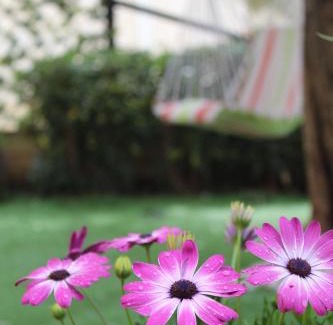 Birgi Vecchi Apartment | Torre Sances Holiday Apartament