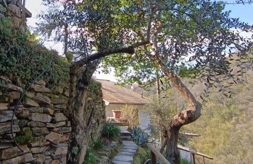Sanguineto House | Tottavilla Affittacamere