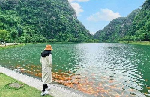 Hoa Lu Hotel | Trang An Elegant Homestay