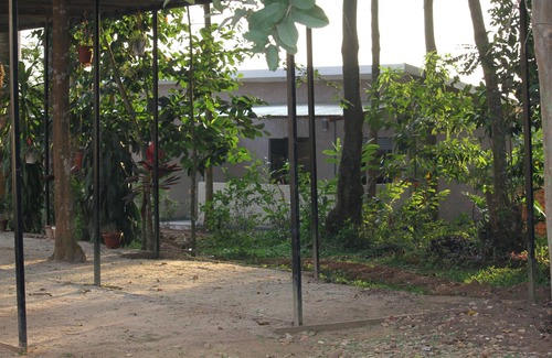Entebbe Cabin | Tranquil forest cabin in Entebbe
