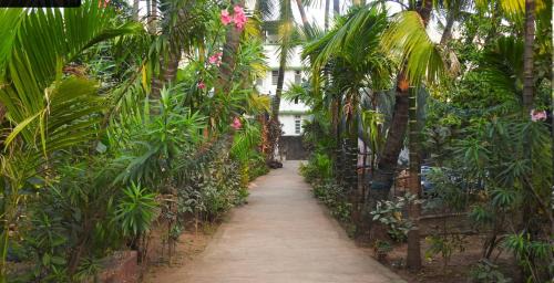 Murud-Harnai Other | Travel Moody Beach touch Homestay & Campsite
