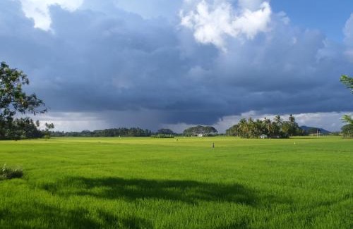 Yodakandiya Hotel | Traveller's Home Hotel