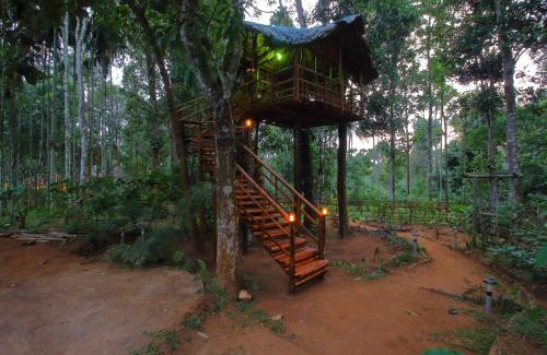 Kidanganad Villa | TreeSong Villa - Modern forest Villa in Wayanad