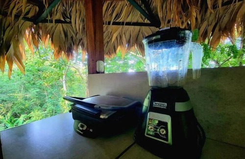 Cocles House | TreeTop Mansion, where the jungle meets the sea!