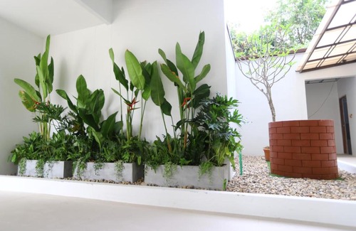 Chang Phueak Apartment | Triple Trees Residence