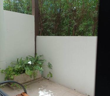 Chang Phueak Apartment | Triple Trees Residence