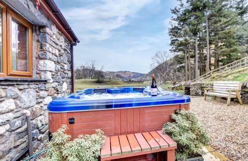 Mawddwy Cottage | Troed yr Aran