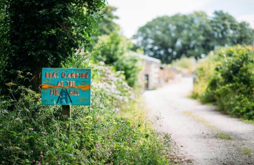 Newquay Cabin | Turkey Dog - A luxury couples+ Yurt on a stunning historic estate near Newquay. Dog friendly