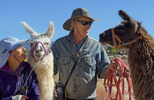 Santa Fe House | Turquoise Trail-er with Sunsets and llamas too