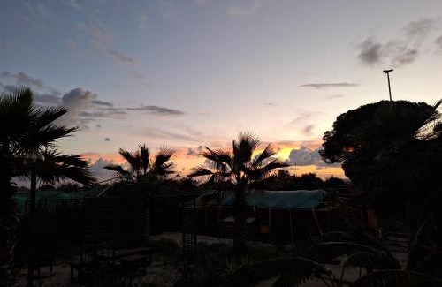 Pellegrino Bed & Breakfast | Turtle Island Apartments