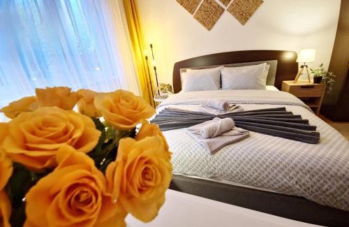 Tirgu Mures Apartment | Tusmorez Central Apartment