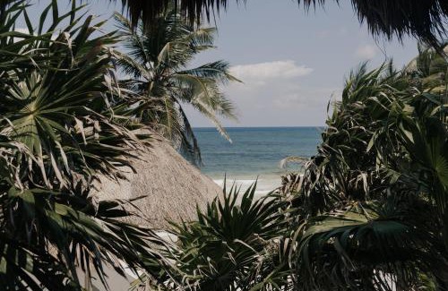 Zona Hotelera Hotel | Tuup Tulum