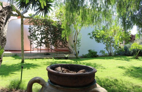 Il Monte Villa | Typical Salento villas surrounded by greenery very close to the beaches