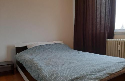 Old City Apartment | Ultracentral apartment bulevard regele mihai nr 10, sc a ap 16