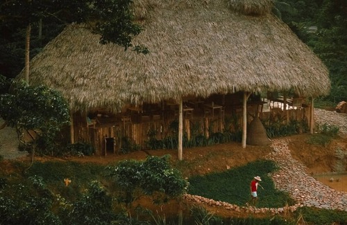 Samana House | Unique property in a lush jungle with river and steps away from the beach.
