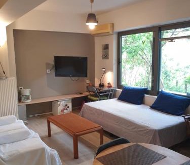 Diasella Apartment | unique view kalamata