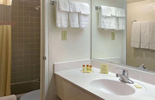Gainesville Hotel | University Inn