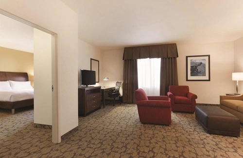 Central Business District Hotel | Hilton Garden Inn Rochester Downtown 1 King Accessible Suite With Bathtub