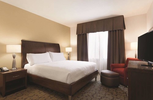 Central Business District Hotel | Hilton Garden Inn Rochester Downtown 1 King Accessible Suite With Bathtub