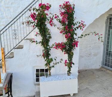 Ceglie Messapica Apartment | Vacation and Short Stay Suites & Apartments Ceglie - Celso